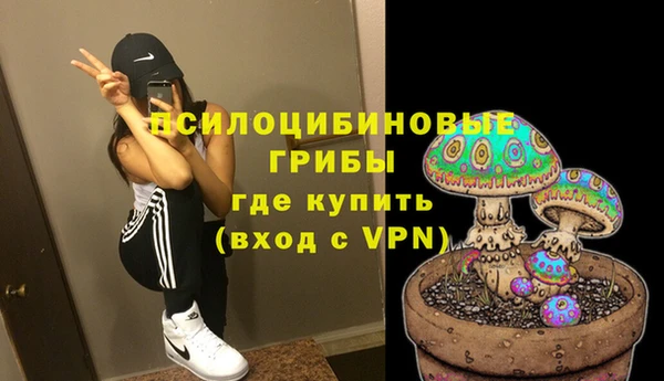 МДПВ Алзамай
