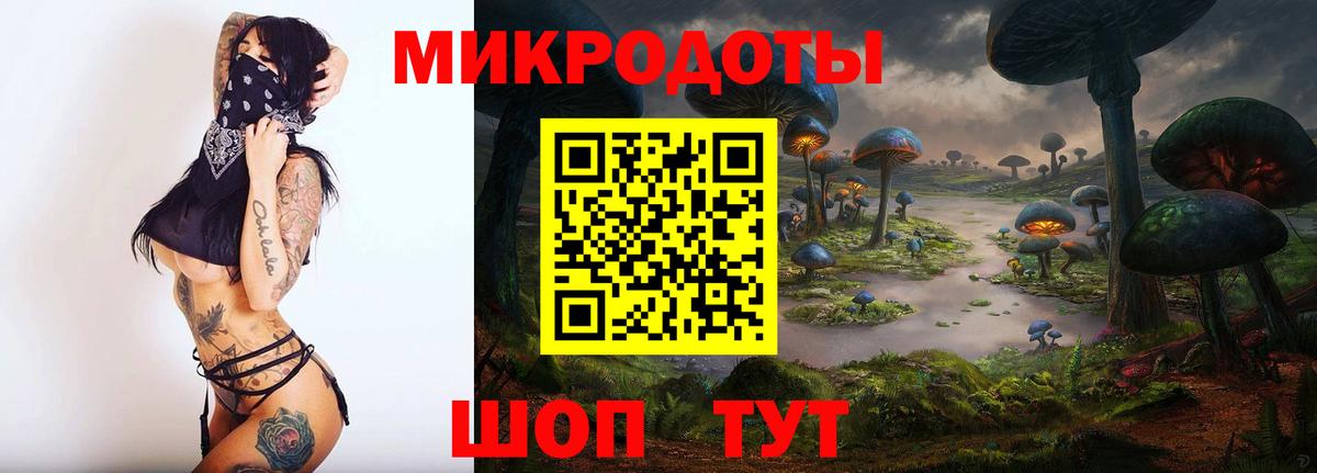 Галлюциногенные грибы Cubensis Грязи